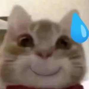 歪嘴猫猫表情包