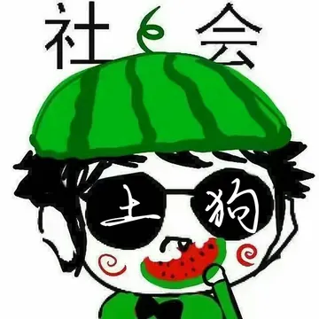 西瓜社会