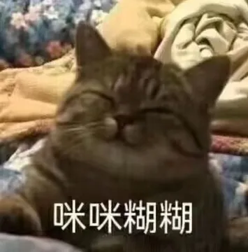 咪咪糊糊