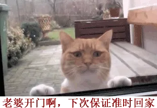 『老婆开门啊，下次保证准时回家』
