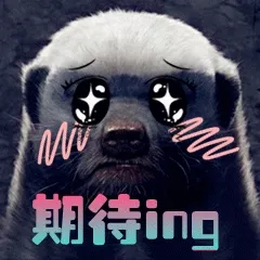期待ing
