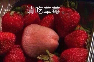 请吃草莓.