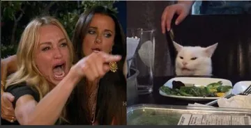 woman yelling at cat without white top