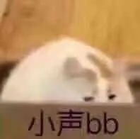 小声bb