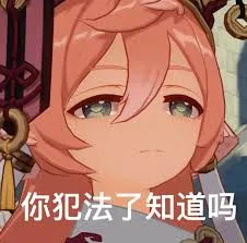 原神00058-你犯法了知道吗