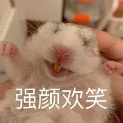 强颜欢笑