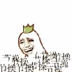 萝卜卜抛节操