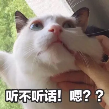 听不听话，嗯？