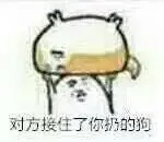对方接住了你扔的狗