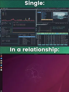 Single Vs In A Relationship