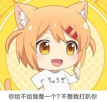 猫咪日常