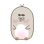 小土豆金馆长