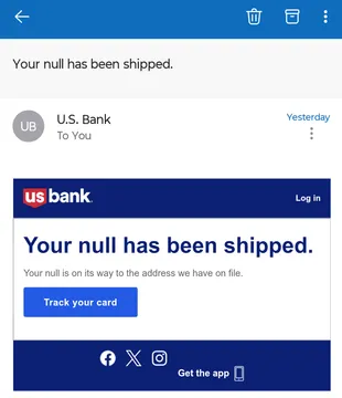 Your Null Has Been Shipped
