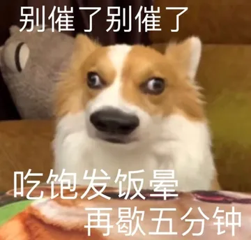 别催了别催了吃饱发饭晕再歇五分钟