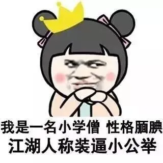 我是一名小学僧 性格腼腆 江湖人称装逼小公举