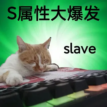 S属性大爆发slave