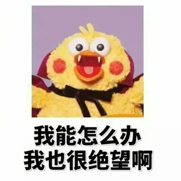 我能怎么办 我也很绝望啊