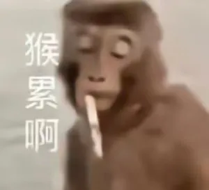 猴累啊
