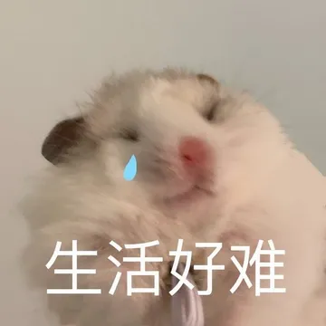 生活好难