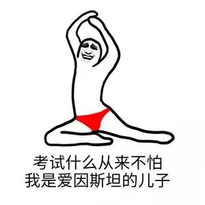 考试什么从来不怕.我是爱因斯坦的儿子