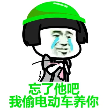 忘了他吧 我头电动车养你