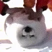 贡献