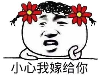 小心我嫁给你