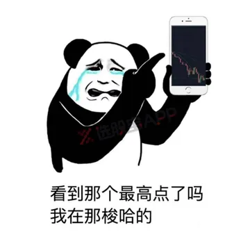 看到那个最高点了吗？我在那梭哈的