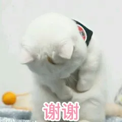 谢谢