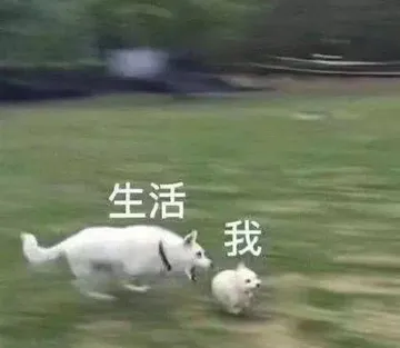 生活和我，生活和我系列