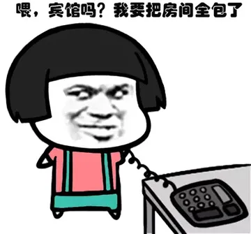 喂，宾馆吗？我要把房间全包了（520）
