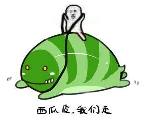西瓜皮，我们走