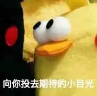 向你投去期待的小目