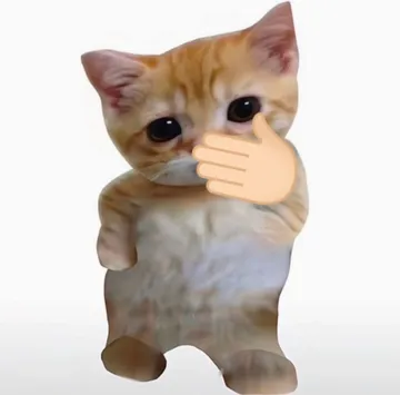小猫咪自拍表情包