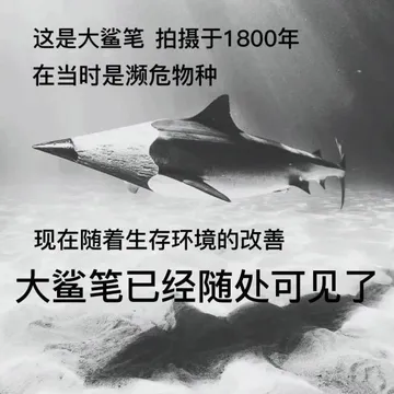 这是大鲨笔拍摄于1800年在当时是濒危物种现在随着生存环境的改善大鲨笔已经随处可见了