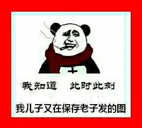 我知道此时此刻，我儿子又在保存老子发的图