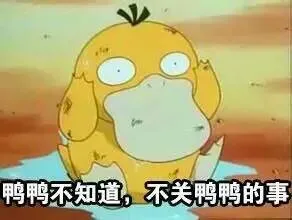 鸭鸭不知道.不关鸭鸭的事