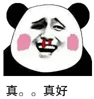 金馆长熊猫00190-真真好