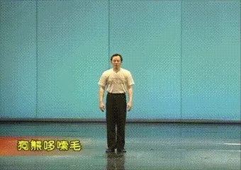 闪身步、狗熊哆嗦毛、浪子踢球gif表情包合集（老师原版、AI狗熊版、哈基米版……）