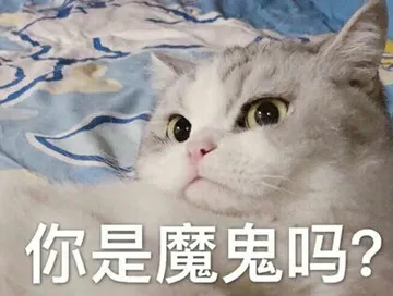你是魔鬼吗？