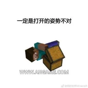 我的世界+反迷你