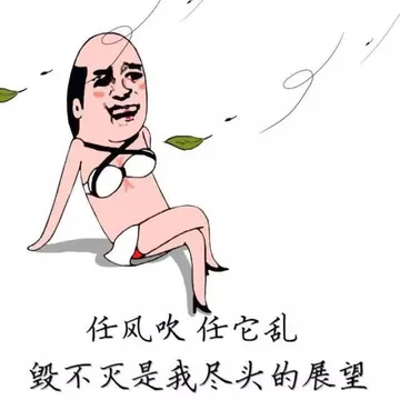 任风吹任它乱，毁不灭是我尽头的展望