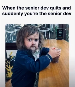 Suddenly The Senior Dev