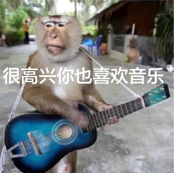 很高兴你也喜欢音乐