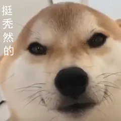 柴犬小Q来斗图