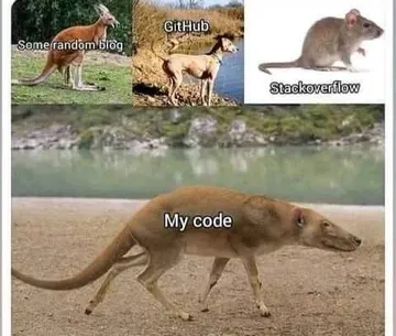 The Developer's Code Source Hierarchy