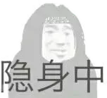隐身中