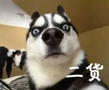 哈士奇与蘑菇头和熊猫人