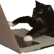 黑猫疯狂敲打电脑键盘的gif表情包