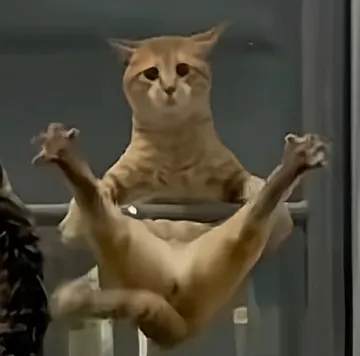 宴请八方小猫表情包（雷德咪）